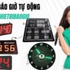 Trung tâm báo giờ tự động đa năng 51 chuong bao gio tu dong 2